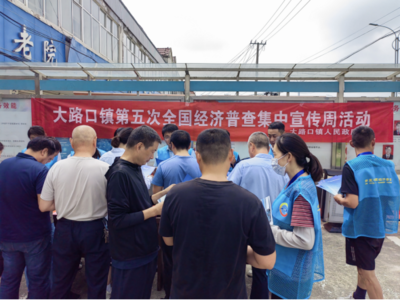 泗县大路口镇开展第五次全国经济普查宣传周活动